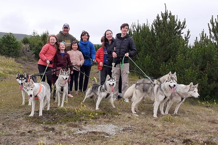 Hiking with Husky near Akureyri: Coastal Forest Walk & Dog-Farm Visit photo 2