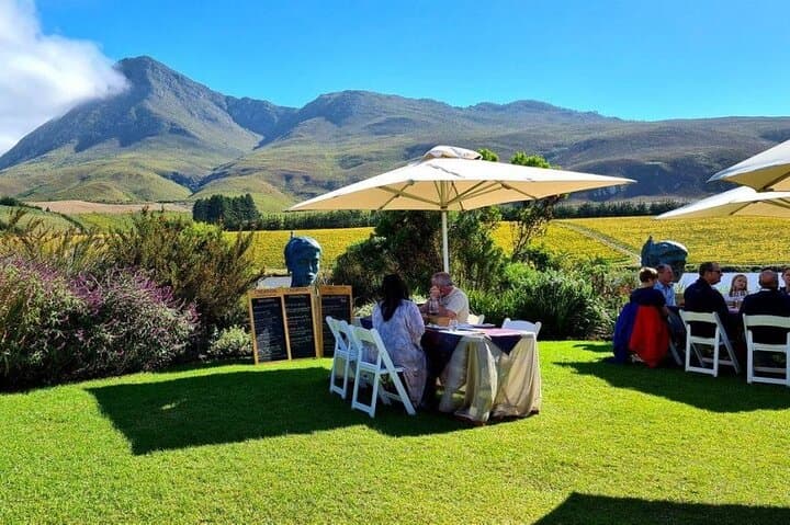 Hermanus Whale Watching & Hemel-en-Aarde Wine Tasting Private Tour from Cape Town photo 6