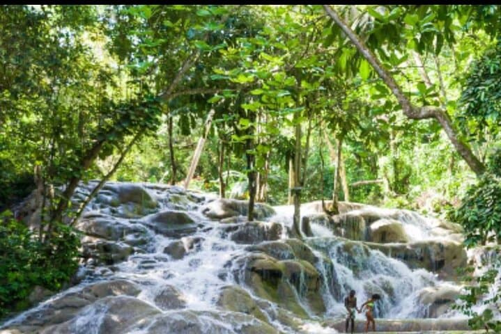 Dunn's River Falls and White River Tubing — Private Combo from Ocho Rios