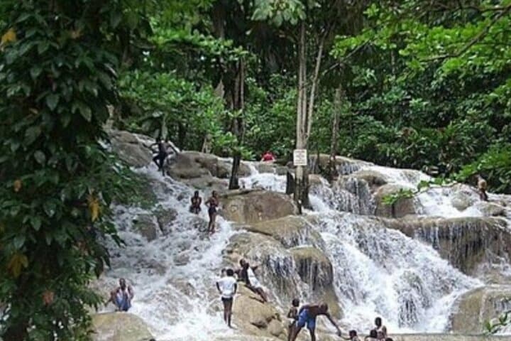 Dunn's River Falls and White River Tubing — Private Combo from Ocho Rios photo 5