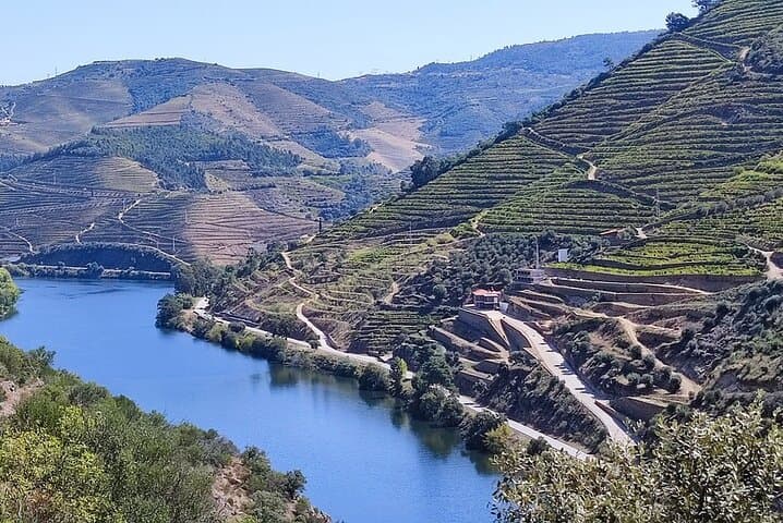 Feel the Douro: Full-Day Wine, Cliffs & Traditional Flavors Tour photo 6