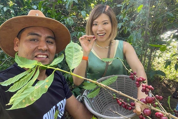 Coffee Tour by Agua Volcano: Plantation Visit & Tasting in Antigua Guatemala photo 3