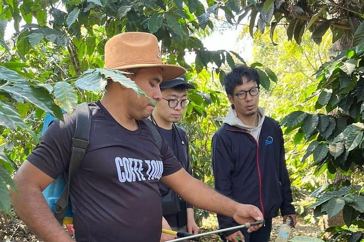Coffee Tour by Agua Volcano: Plantation Visit & Tasting in Antigua Guatemala photo 4