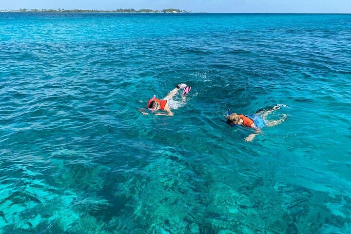 Half-Day Pigs, Turtles, and Snorkel — Paradise Island Boat Tour photo 1