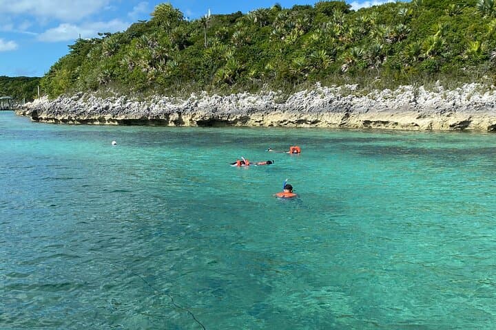 Half-Day Pigs, Turtles, and Snorkel — Paradise Island Boat Tour photo 2