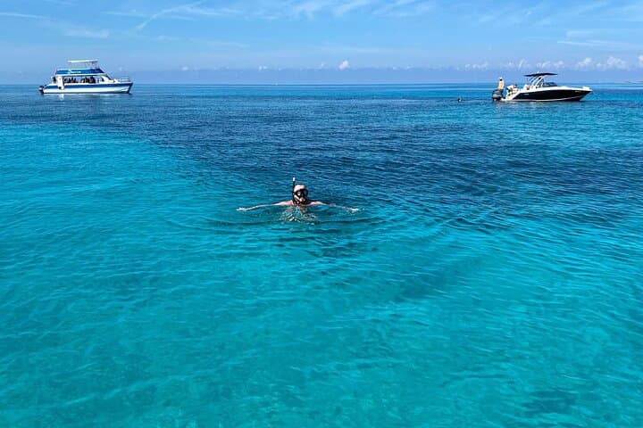 Half-Day Pigs, Turtles, and Snorkel — Paradise Island Boat Tour photo 3