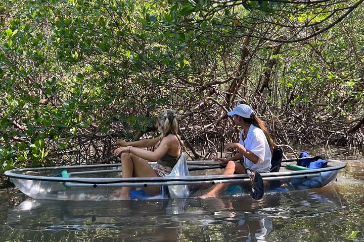 Clear Kayak Eco Tour at Wiggins Pass — Naples Clear Kayak Adventure photo 2