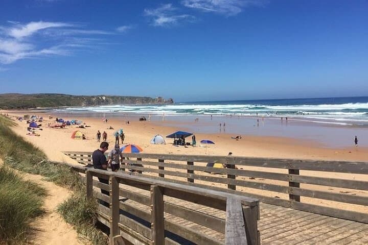Melbourne to Phillip Island Penguin Parade: City Sights & Little Penguins Day Tour photo 2