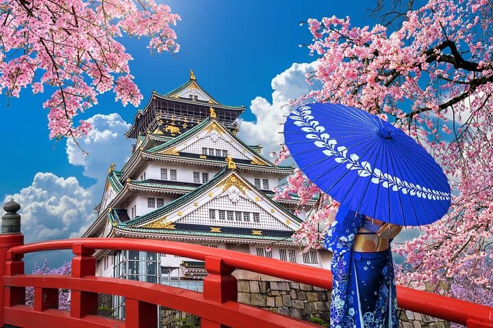 Private Osaka & Kyoto Day Tour by Charter Car — Kinkakuji, Fushimi Inari & Arashiyama