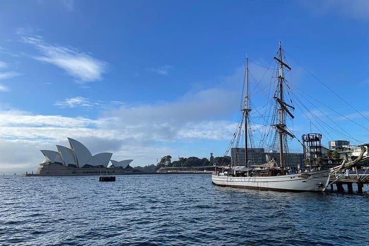 Private Best of Sydney City Tour — Luxury SUV & Harbour Highlights photo 3