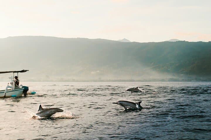 Sunrise Dolphins & Highland Temples: Lovina Beach to Bedugul Day Tour