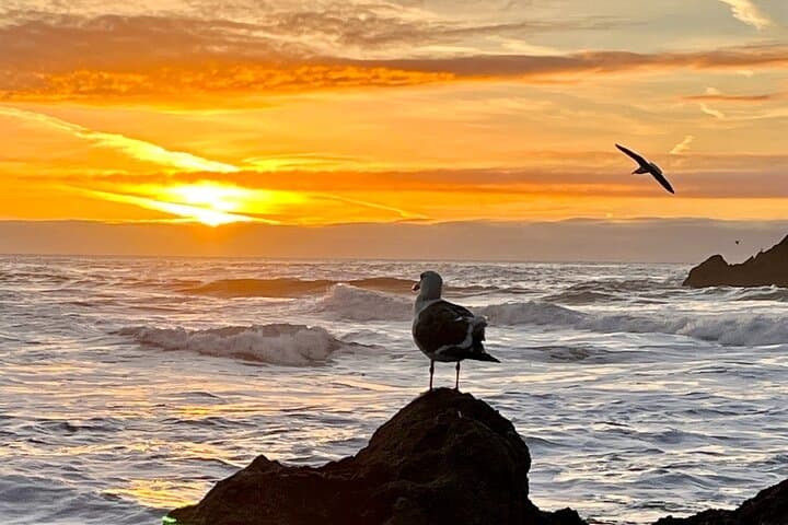 Epic San Francisco Photo Adventures: Customized Tours to Capture the Bay Area’s Best Views photo 5
