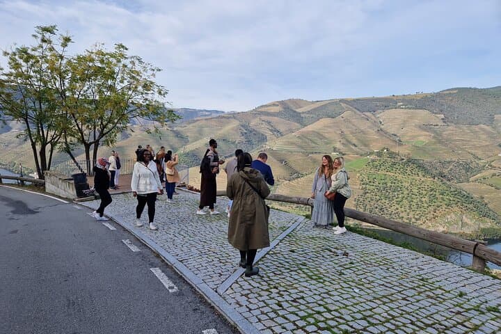 Douro Valley Private Tour: Two Wineries, River Boat & Lunch from Porto photo 2
