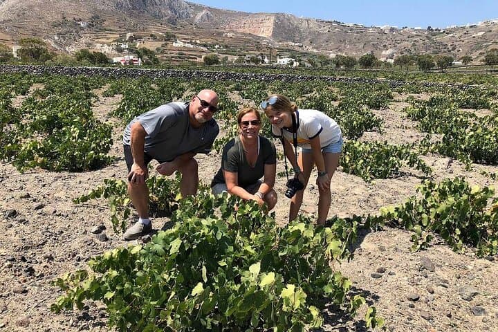 Santorini Wine Adventure: 12 Tastings, Tapas & Sunset Tour photo 6