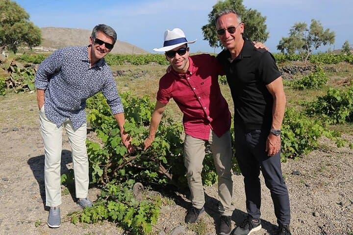 Santorini Sunset Wine Tasting at Santo Wines — Cliff-Top Views & Island Tapas photo 2