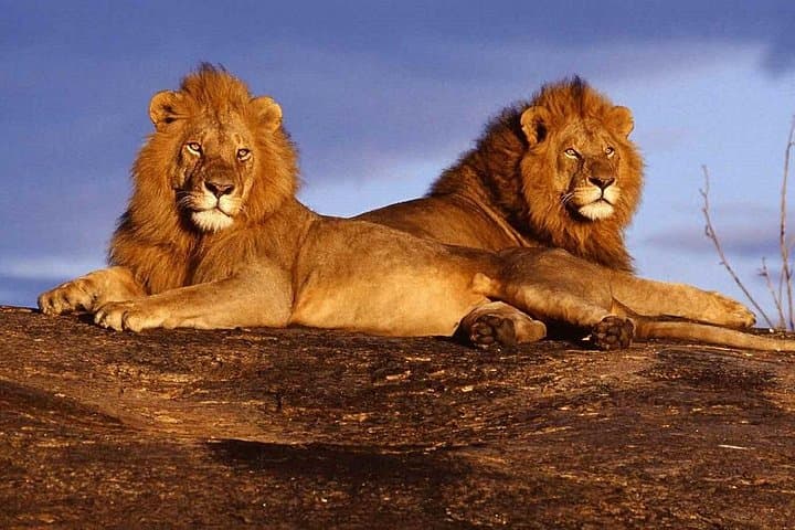 Tsavo West Safari: 3-Day Severin Safari Camp Adventure from Mombasa