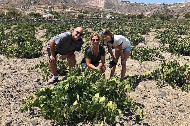 Private Santorini Wine Adventure: 3 Wineries & 12 Tastings in 4 Hours photo 3