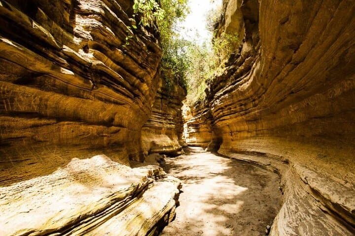 Hells Gate & Lake Naivasha: Rift Valley Day Trip to Cliffs, Hippos and Hot Springs photo 2