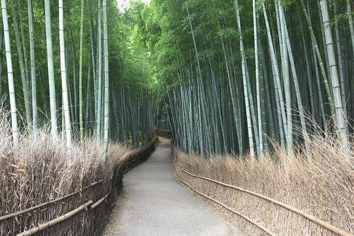 Half-Day Private Guided Tour to Arashiyama: Bamboo Groves, Tenryuji & Katsura River Walk photo 2