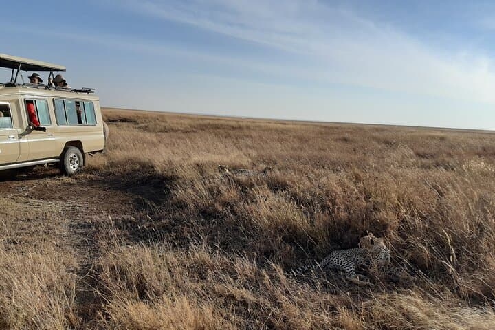 Private Maasai Mara Game Drive — Full-Day Safari with Local Guide photo 6