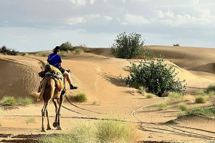 Overnight Camel Safari in the Thar Desert — Jaisalmer Sunset Ride & Desert Camp photo 3