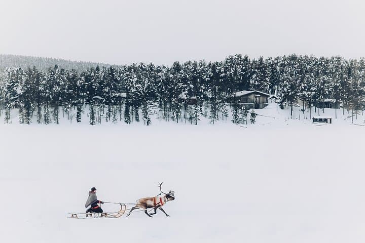 Sami Reindeer Sleigh Ride & Culture Day Tour in Jukkasjärvi