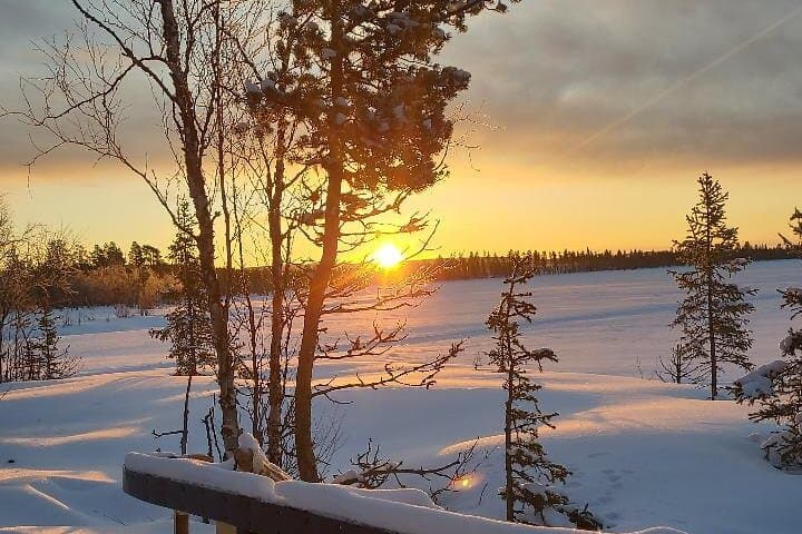 Sami Reindeer Sleigh Ride & Culture Day Tour in Jukkasjärvi photo 4