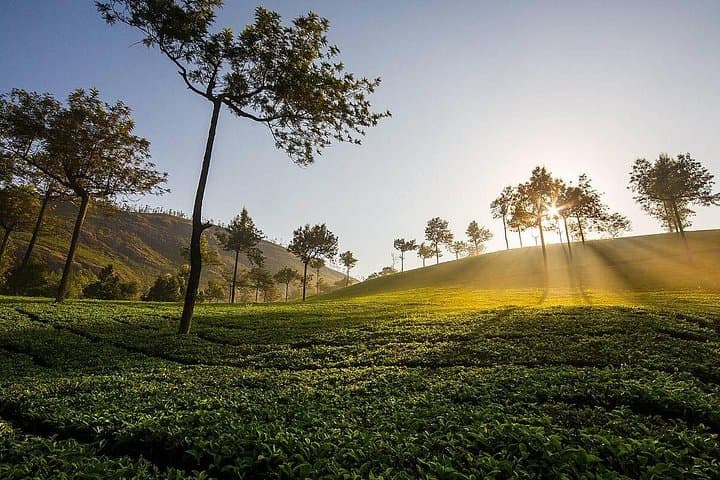 15-Day Private India Tour: North India, Mumbai & Kerala Highlights photo 1