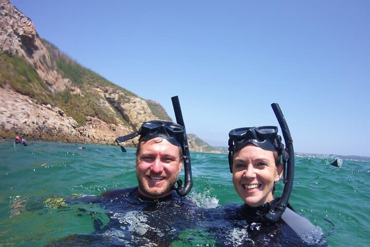 Up-Close with Cape Fur Seals: Robberg Boat Trip from Plettenberg Bay photo 6