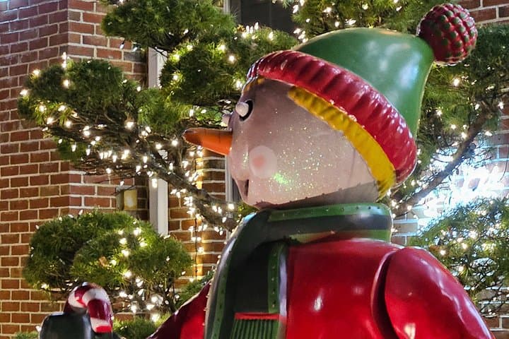 NYC Private Holiday Lights Tour — Dyker Heights & Brooklyn Bridge Park by Limo photo 3
