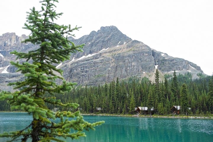 Moraine Lake & Lake Louise Half-Day Tour — Guided Views of Banff’s Turquoise Lakes photo 6