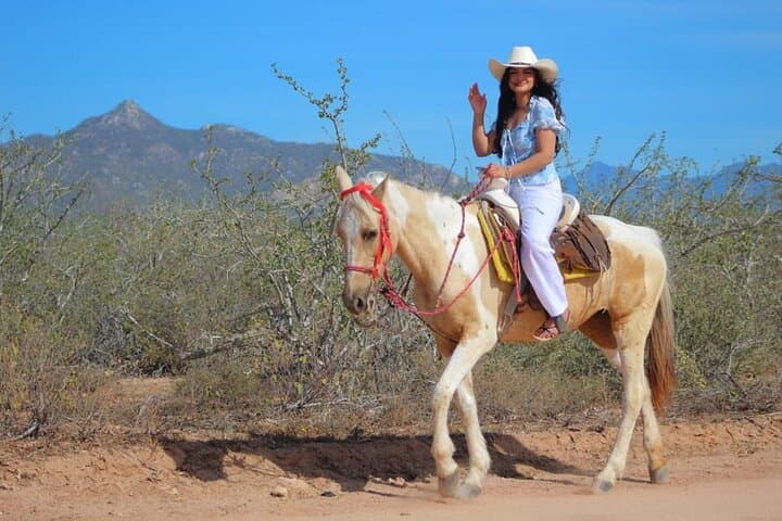 Horseback Riding in Playa Migriño: Baja Beach Ride & Tequila Tasting photo 2