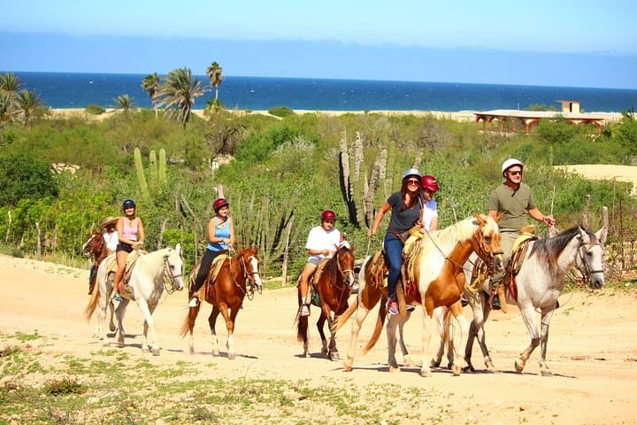 Horseback Riding in Playa Migriño: Baja Beach Ride & Tequila Tasting photo 3