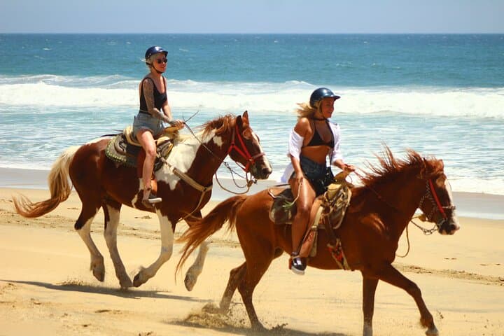 Los Cabos Combo Adventure: RZR, ATV or Horseback with Tequila Tasting photo 3