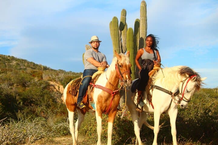 Horseback Riding in Playa Migriño: Baja Beach Ride & Tequila Tasting photo 5