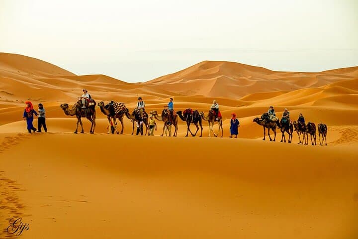 Sahara Overnight: 3-Day Private Tour from Errachidia to Merzouga and Marrakech photo 5