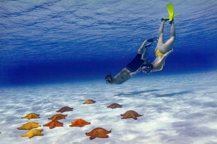 Private El Cielo Snorkel Tour in Cozumel — Reefs, Starfish & Manta Rays