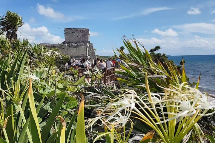 Cancun Jungle Tour: Tulum Ruins, Cenote Snorkel & Zipline Adventure photo 3