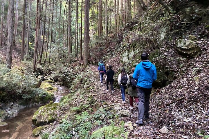 Explore Yoshino by E-Bike: Waterfalls, Tsuburo Lake & Timber Market photo 3
