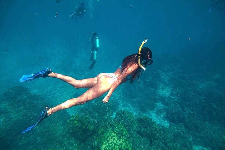 Private El Cielo Snorkel Tour in Cozumel — Reefs, Starfish & Manta Rays photo 5