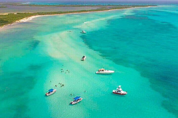 Private El Cielo Snorkel Tour in Cozumel — Reefs, Starfish & Manta Rays photo 6