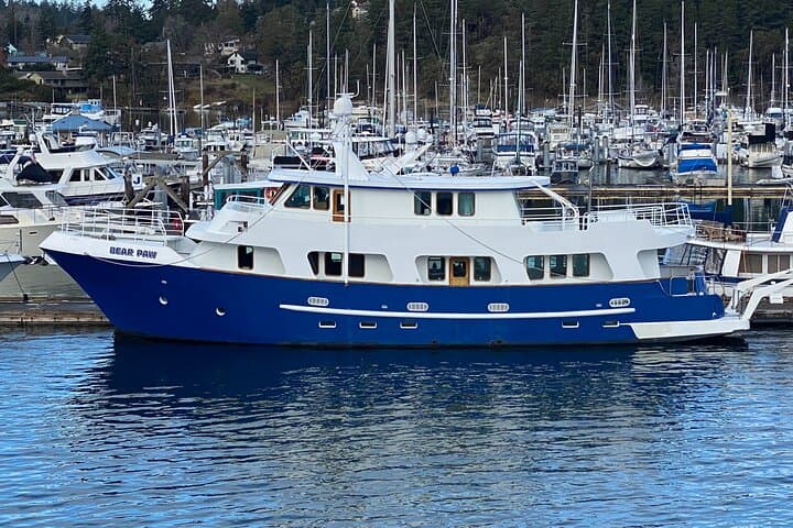 4-Course Luxury Yacht Dinner Cruise from Friday Harbor