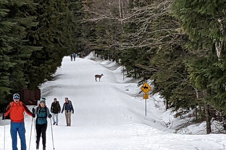 Seattle to Snoqualmie Pass Shuttle — Easy Ski & Snowboard Transfers photo 5