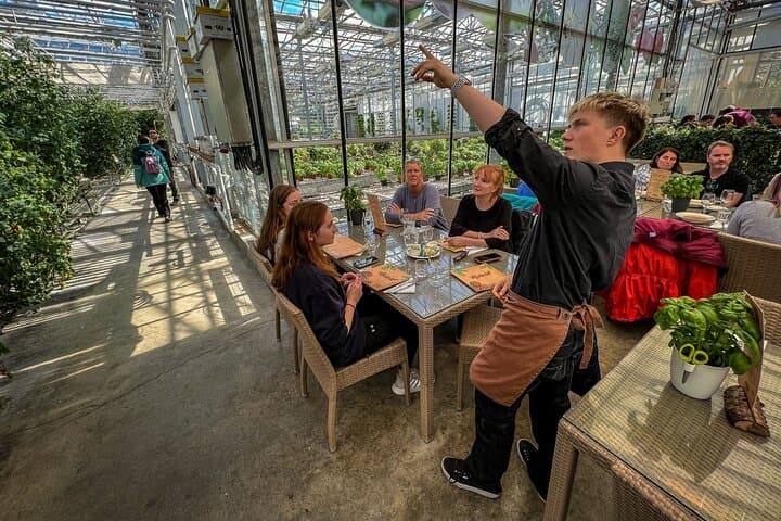 Golden Circle Day Trip with Lunch at Fridheimar Tomato Farm — Small-Group Tour from Reykjavik