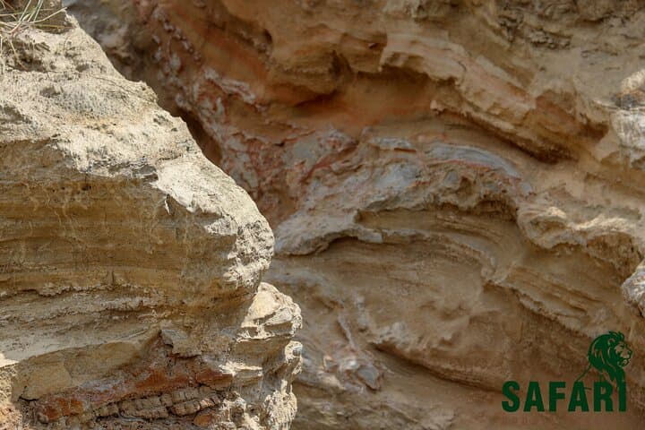 Hells Gate & Lake Naivasha: Rift Valley Day Trip to Cliffs, Hippos and Hot Springs photo 3