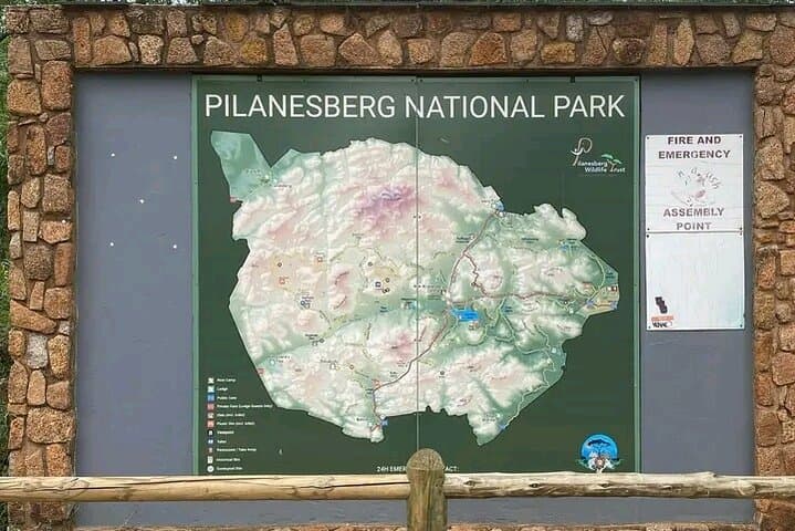 Pilanesberg Transfer from Johannesburg and Pretoria — Reliable Shuttle to the Park photo 3