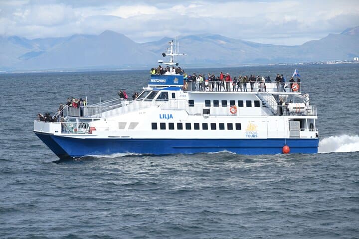 Whale Watching from Akureyri City Central: Minke, Humpbacks & Dolphin Safaris photo 2