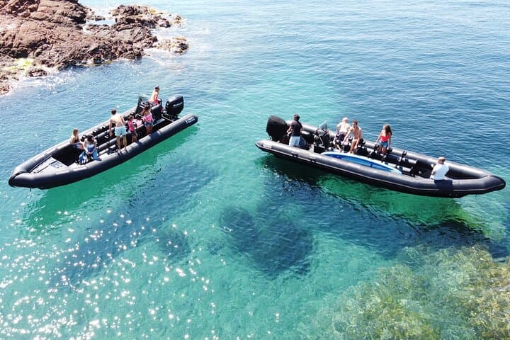 Estérel Massif Calanques Cruise: Red Rocks and Secret Coves from Mandelieu photo 2