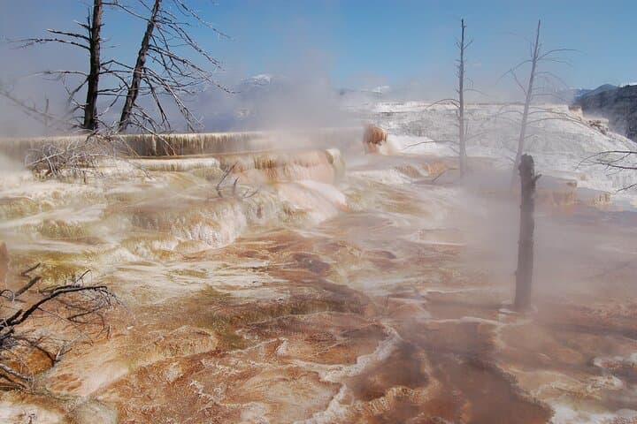 Explore Yellowstone’s Upper Loop: Wildlife, Geysers, and Scenic High Country photo 4