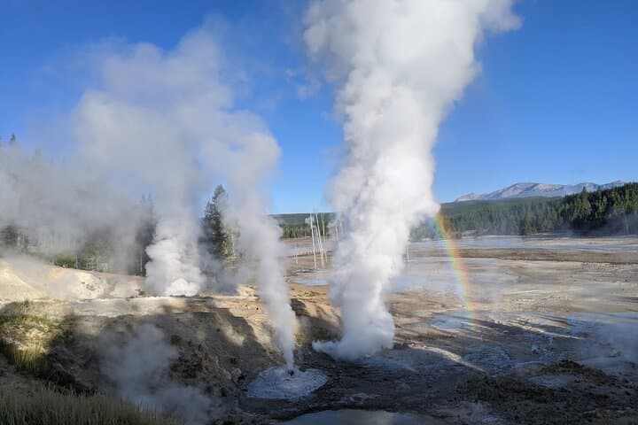 Explore Yellowstone’s Upper Loop: Wildlife, Geysers, and Scenic High Country